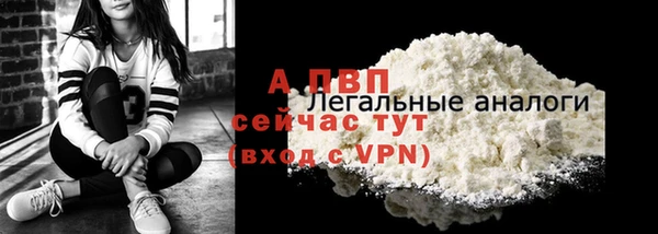 сатива Верхний Тагил