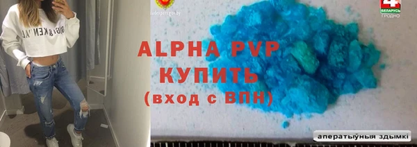 стаф Володарск